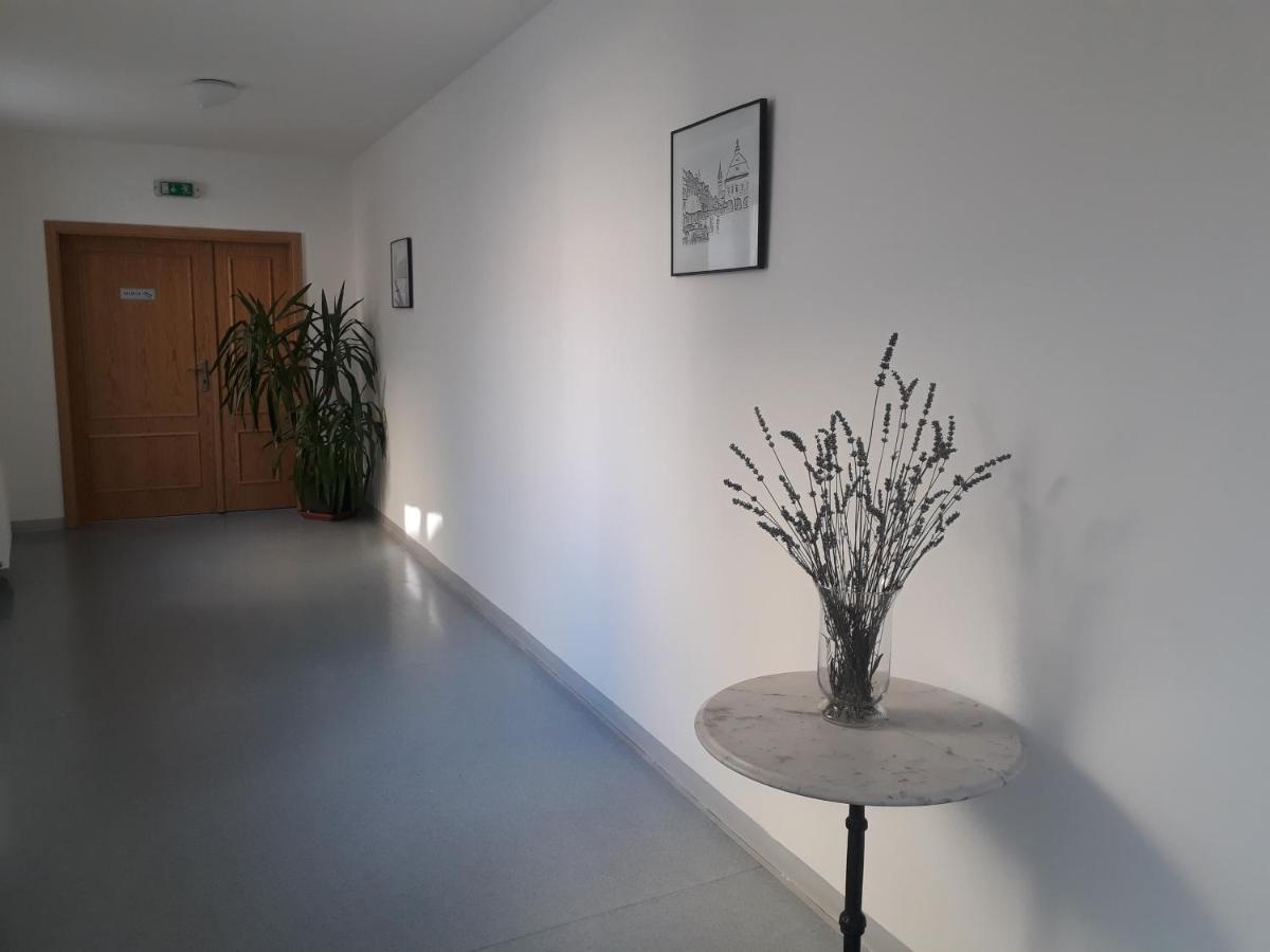Dvůr Králové nad Labem Penzion Hotelu Central מראה חיצוני תמונה