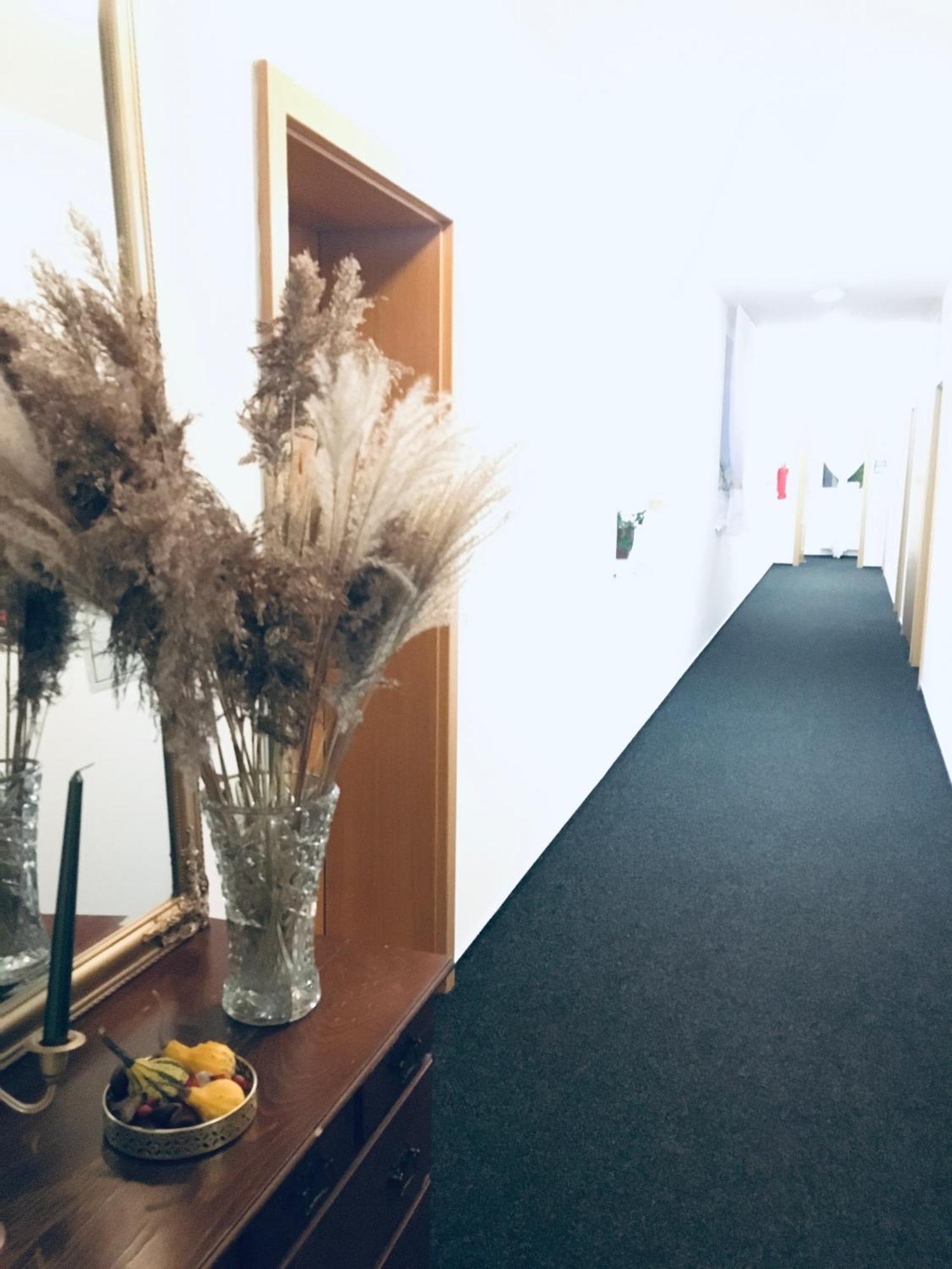 Dvůr Králové nad Labem Penzion Hotelu Central מראה חיצוני תמונה
