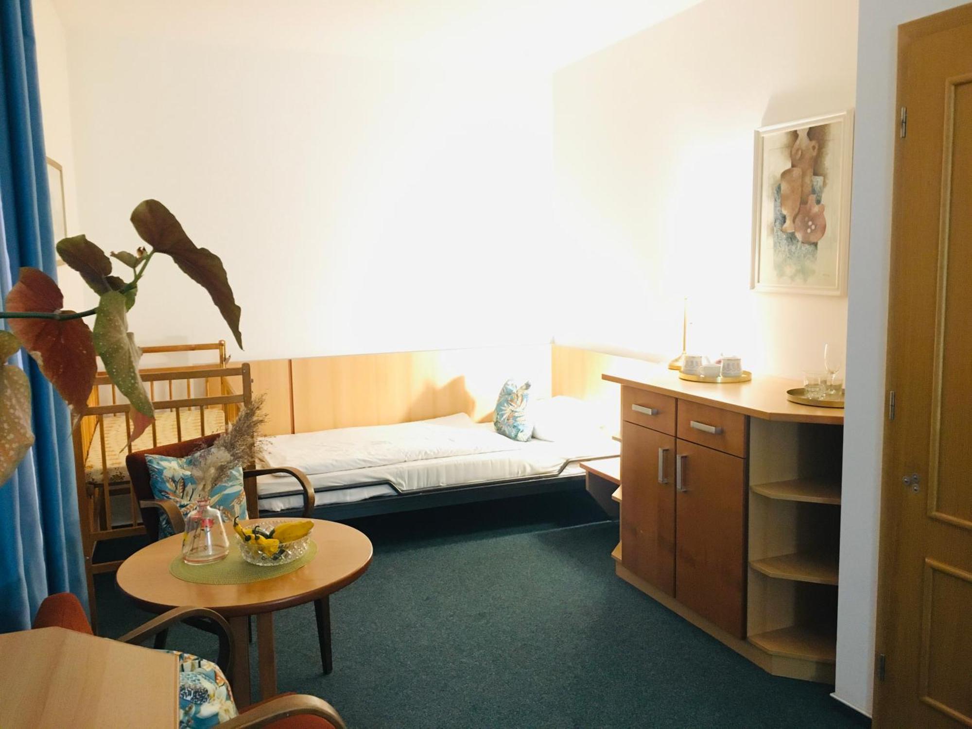 Dvůr Králové nad Labem Penzion Hotelu Central מראה חיצוני תמונה