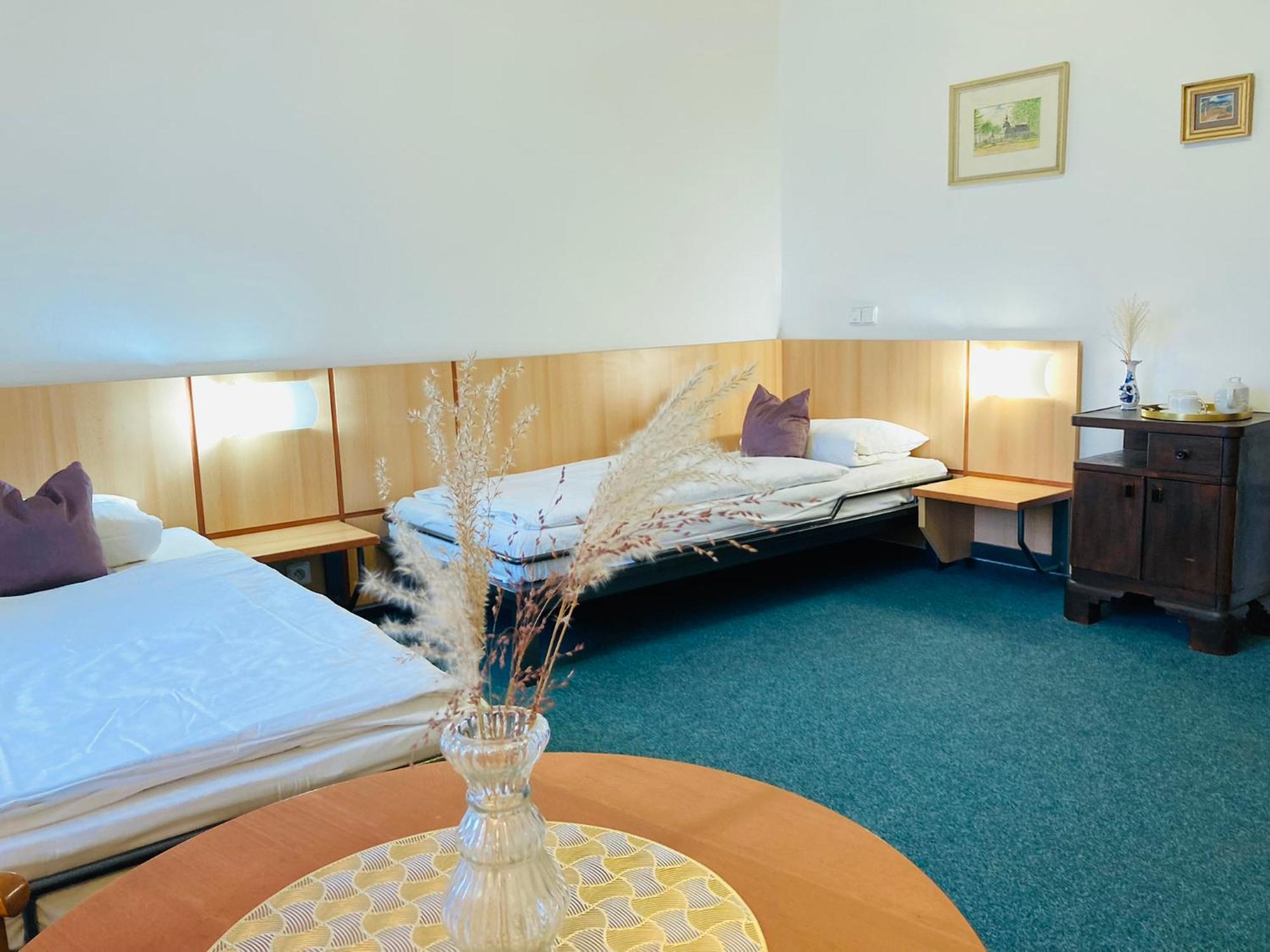 Dvůr Králové nad Labem Penzion Hotelu Central מראה חיצוני תמונה